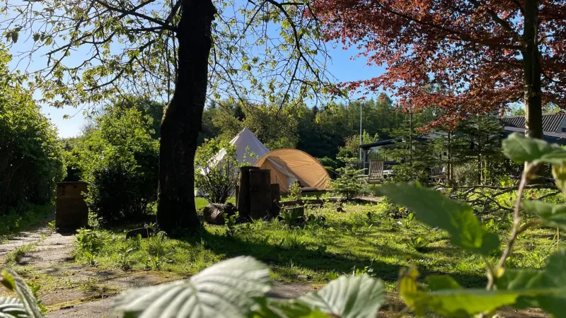 Cozy Garden Glamping photo 5