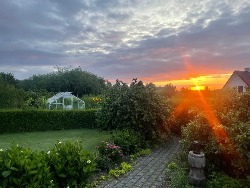 Cozy Garden Glamping photo 7