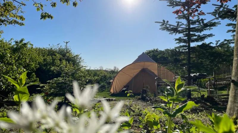 Cozy Garden Glamping photo 9