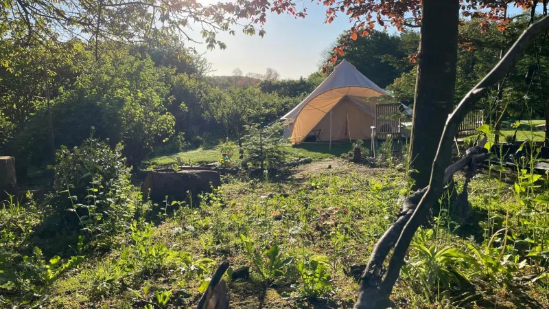 Cozy Garden Glamping photo 25