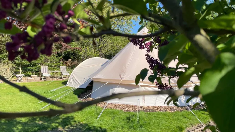 Cozy Garden Glamping photo 28
